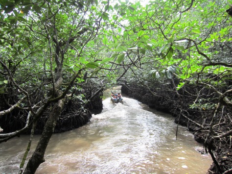 To limestone cave!(Through snake filled waters)